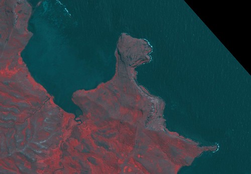 Rapa Iti - GeoTIFF Image (False Color) NE Coast Contours Redigitized (1-10,000)