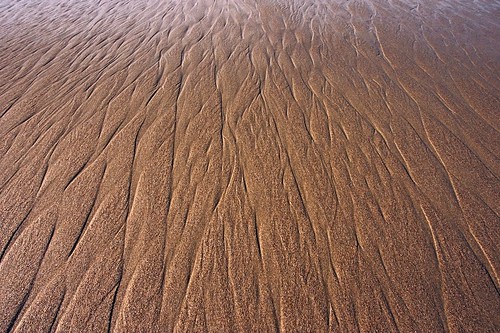 beach sand texture. Texture: Beach Sand