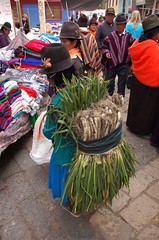 A woman carries onions to sell at the market