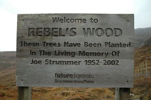 Entrance To Rebel's Wood