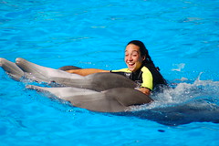 Delfines del Loro Park, Tenerife