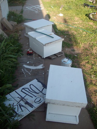 freshly painted bee boxes