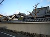 日本京都行屋與樹之美P1040011