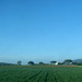 Plains of Lazio