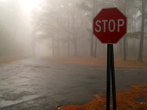 stop in the name of fog
