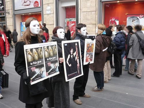 Uncaged Campaigns님이 촬영한 Toulouse - masked protesters 2.