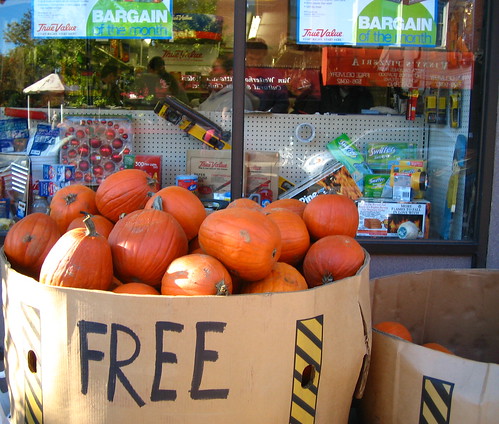 Free Pumpkins!