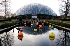 Chihuly Exhibit, Botanical Gardens, St. Louis by Laughing Easy
