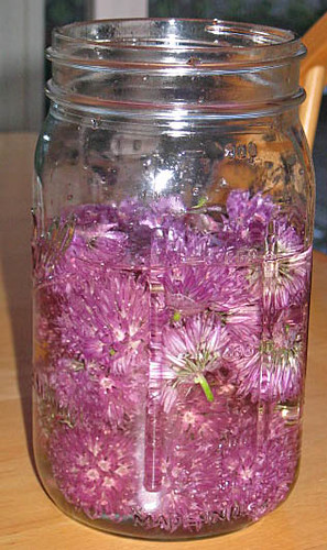 Chive flowers in white wine vinegar