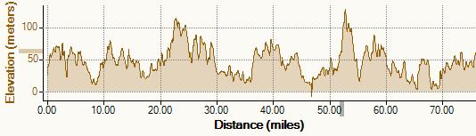 Elevation profile for the New Forest ride