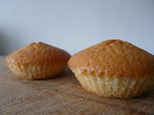 Two friands