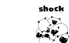 shock  sheep 1280 x 800