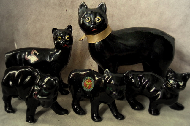 Black cats - Manx brothers