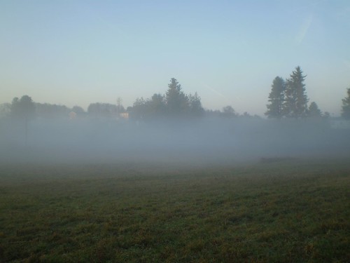 Mist across the fields