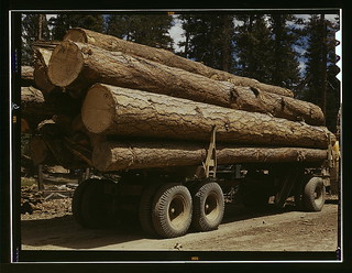 Truck load of ponderosa pine, Edward Hines Lum...