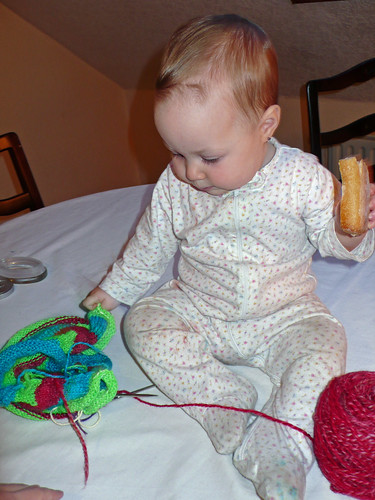 Daisy checking out the knit in progress
