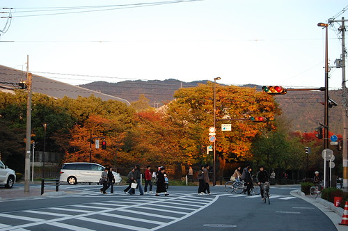 Okazaki et l'automne et les couleurs