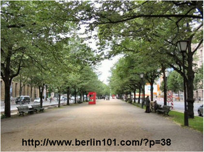 LindenTrees_Berlin