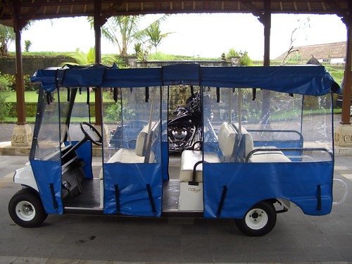 buggy for inside transportation