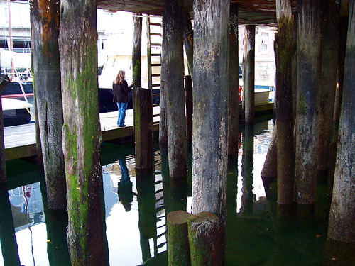 Beneath the pier