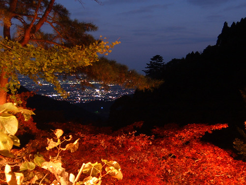 Oyama autumn