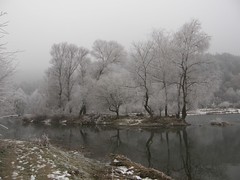 Struma River in Winter