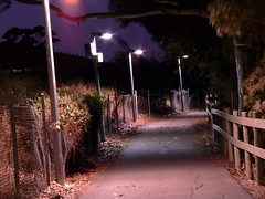Night path