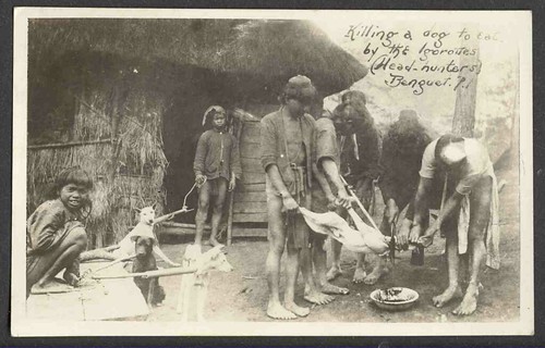  Igorot Tribesmen Slaughter Dog for Feast, Benguet, Philippines circa 1910 Philippine Buhay Pinoy Noon old pictures photograph black and white Philippines  Filipino Pilipino  people photos life Philippinen indigenous tribe cooking    