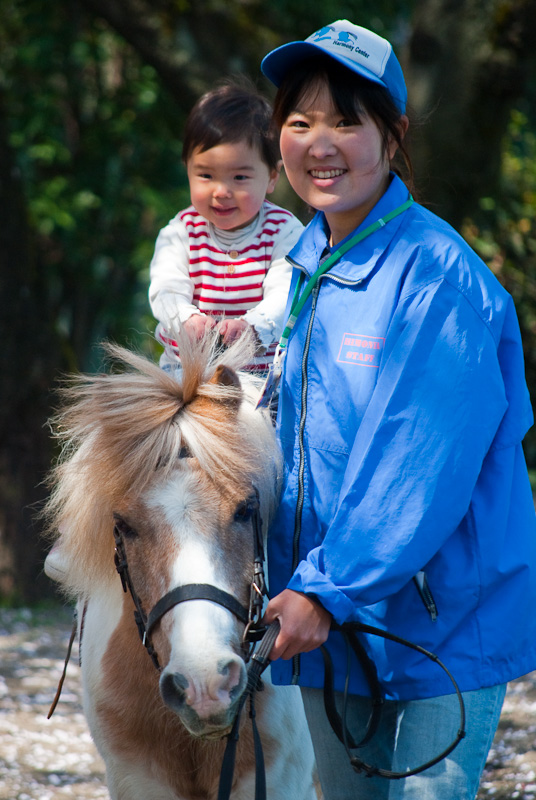 Baby Sakura Horse_8185