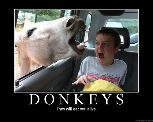 Donkeys-Eat-You-Alive