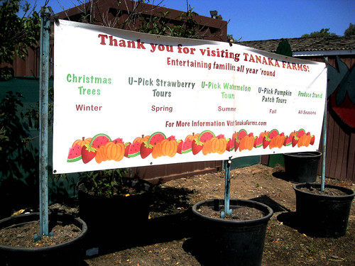 Tanaka Farms Cookout Tour