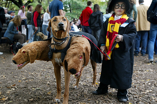 Thumb Disfraz de Harry Potter con el perro Fluffy