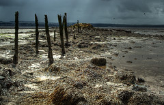 Low Tide on the River Forth 2