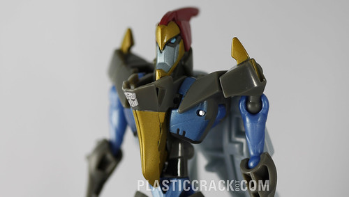 TF Animated Swoop