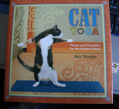 Cat Yoga 102907