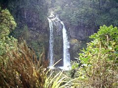 Waterfall in Egmont NP