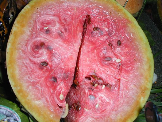 Yucky Watermelon