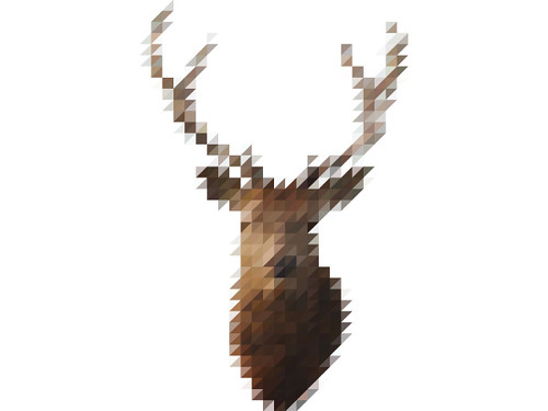 The Sliced Pixel Project Stag