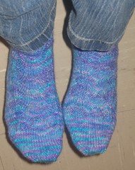 Dragonfly socks