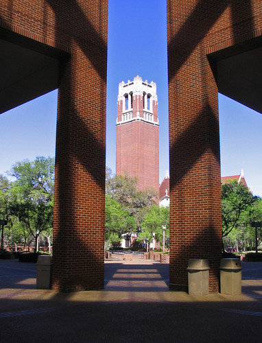 university of florida campus. the University of Florida