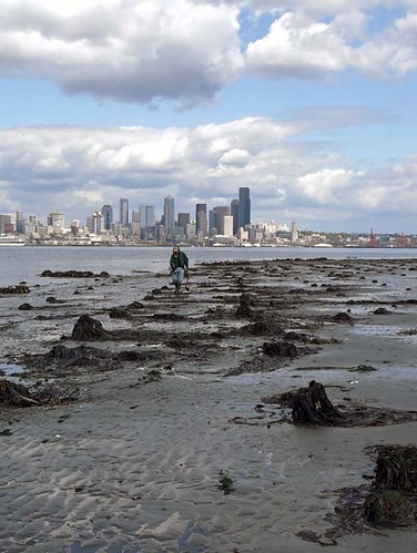 Luna Park Pilings and Seattle Skyline