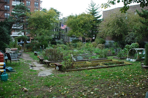 Individual Plots, East 4th Street Community Garden