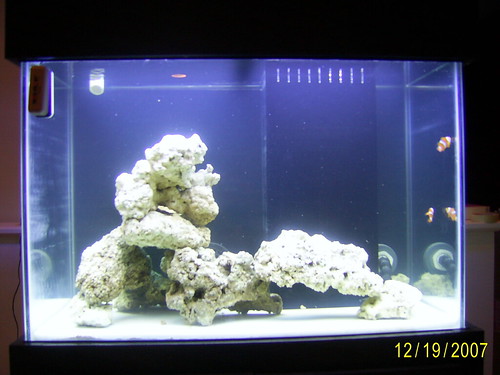 another FTS