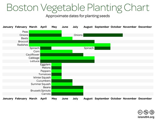 Boston Vegetable Planting Chart