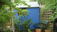 side view of painted shed