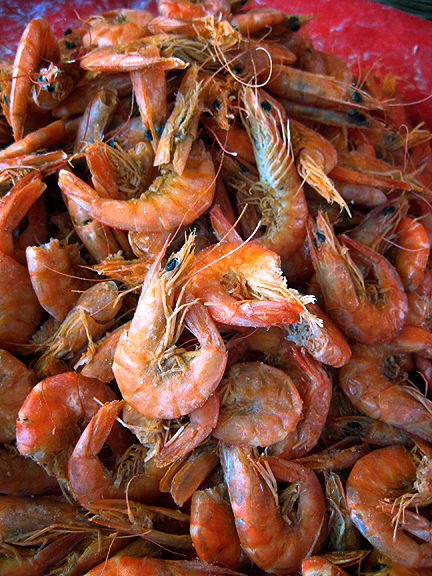 Camarón Seco - Dried Shrimp