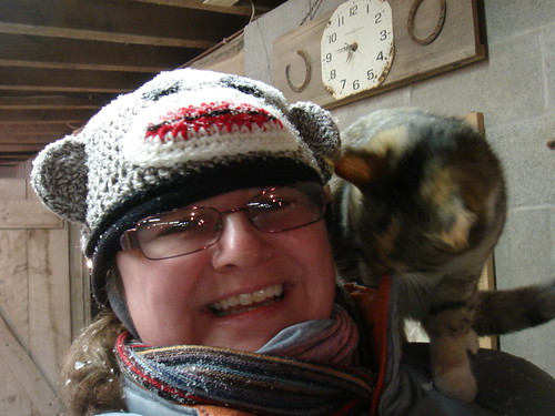 Barn Kitty and Sock Monkey Hat, originally uploaded by fredlet.