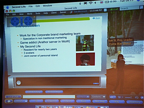 Fiona was doing her presentation in Second Life
