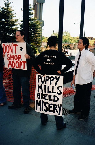 Pet store protest