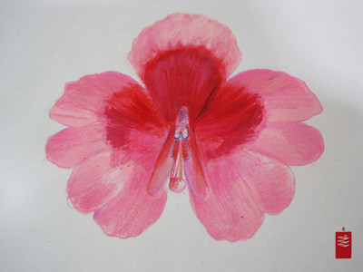 pink butterfly tattoos. Pink butterfly orchid tattoo